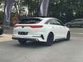 Kia ProCeed / pro_cee'd 1.4 T-GDi - ! GT Line ! - T. Ouvrant - CarPlay Blanc - thumbnail 5