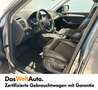 Audi Q5 2.0 TDI quattro INTENSE Gris - thumbnail 6