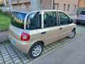 Fiat Multipla Bronze - thumbnail 1