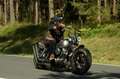 Harley-Davidson Late Shovel Plateado - thumbnail 23
