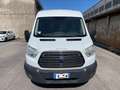Ford Transit 290 2.0TDCi EcoBlue 130CV  Furgone motore nuovo Bianco - thumbnail 9