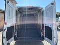Ford Transit 290 2.0TDCi EcoBlue 130CV  Furgone motore nuovo Bianco - thumbnail 7
