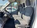 Ford Transit 290 2.0TDCi EcoBlue 130CV  Furgone motore nuovo Bianco - thumbnail 5