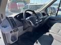 Ford Transit 290 2.0TDCi EcoBlue 130CV  Furgone motore nuovo Bianco - thumbnail 13