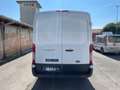Ford Transit 290 2.0TDCi EcoBlue 130CV  Furgone motore nuovo Bianco - thumbnail 11