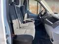 Ford Transit 290 2.0TDCi EcoBlue 130CV  Furgone motore nuovo Bianco - thumbnail 6