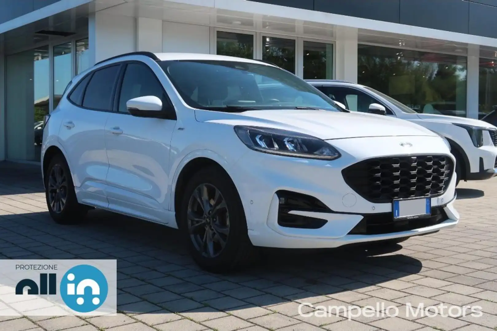 Ford Kuga Kuga 1.5 TDCi 120cv 2wd ST-Line Bianco - 1