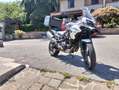 Benelli TRK 502 x Bianco - thumbnail 3