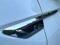 Volkswagen Tiguan 4Motion 3X Rline 2.0TDI - 150CV Full 2018 Wit - thumbnail 27