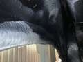 Suzuki Grand Vitara 2.4 L VVT 166 CV - thumbnail 23