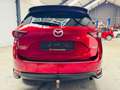 Mazda CX-5 2.2 SKY-D 4WD Skycruise Takumi (EU6d-T) Rouge - thumbnail 6