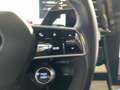 Renault Austral Iconic Esprit Alpine E-Tech 200PS Grau - thumbnail 45