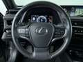 Lexus UX 250h Business Line Pro Grijs - thumbnail 14