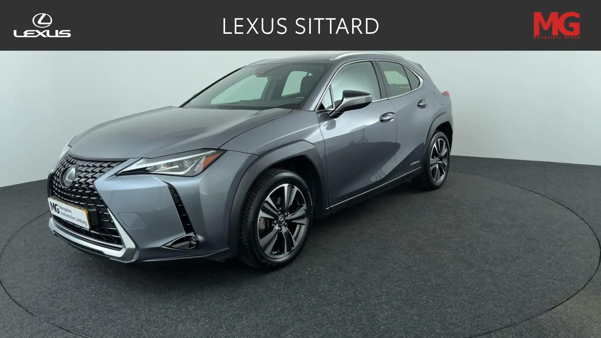 Lexus UX 250h Business Line Pro Grijs - 1