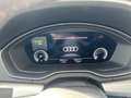 Audi Q5 Q5 2.0 TFSI HBRID SPORTBACKE QUATTRO Verde - thumbnail 5