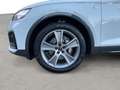 Audi Q5 50 TDI S line quattro MATRIX LUFT Blanc - thumbnail 14