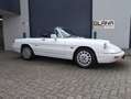 Alfa Romeo Spider Prachtkleur Bianco Freddo Bianco - thumbnail 1