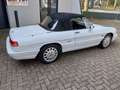 Alfa Romeo Spider Prachtkleur Bianco Freddo Bianco - thumbnail 2