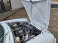 Alfa Romeo Spider Prachtkleur Bianco Freddo Weiß - thumbnail 20