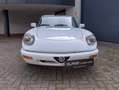 Alfa Romeo Spider Prachtkleur Bianco Freddo Bianco - thumbnail 3