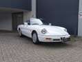 Alfa Romeo Spider Prachtkleur Bianco Freddo Bianco - thumbnail 7
