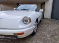 Alfa Romeo Spider Prachtkleur Bianco Freddo Bianco - thumbnail 4