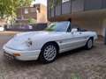 Alfa Romeo Spider Prachtkleur Bianco Freddo Bianco - thumbnail 6