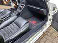 Alfa Romeo Spider Prachtkleur Bianco Freddo Bianco - thumbnail 14
