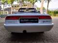 Alfa Romeo Spider Prachtkleur Bianco Freddo Bianco - thumbnail 8