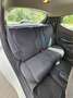 Lancia Ypsilon Ypsilon 1.2 8v Elefantino 69cv Wit - thumbnail 12