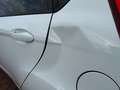 Ford Fiesta Trend KLIMA+SITZHG+2XPDC+TÜV Weiß - thumbnail 11