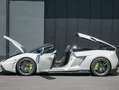 Lamborghini Gallardo Gallardo LP570-4 Spyder E-Gear Performante FULL Weiß - thumbnail 1