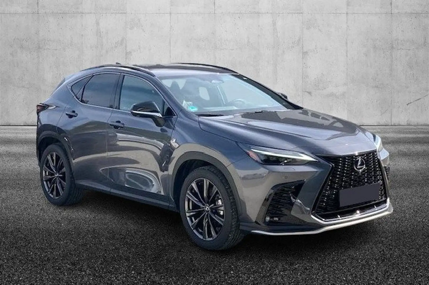 Lexus NX 350h NX 300h Grigio - 2