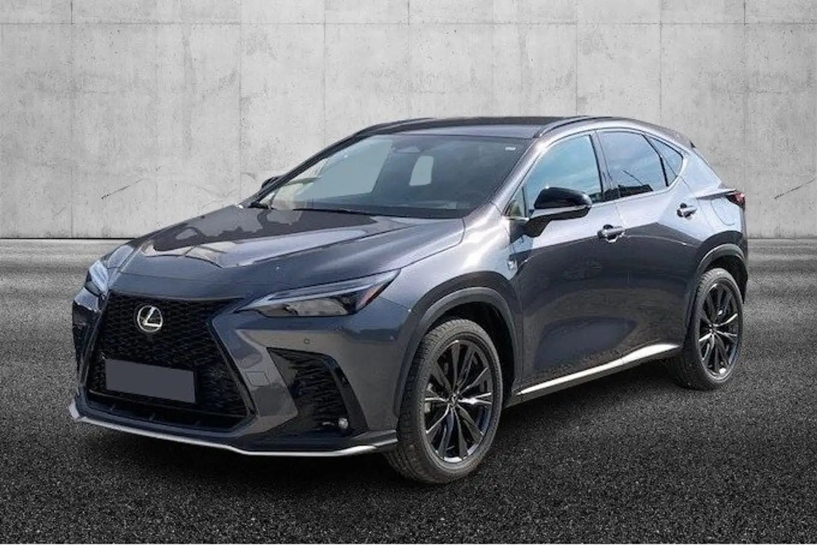 Lexus NX 350h NX 300h Grigio - 1