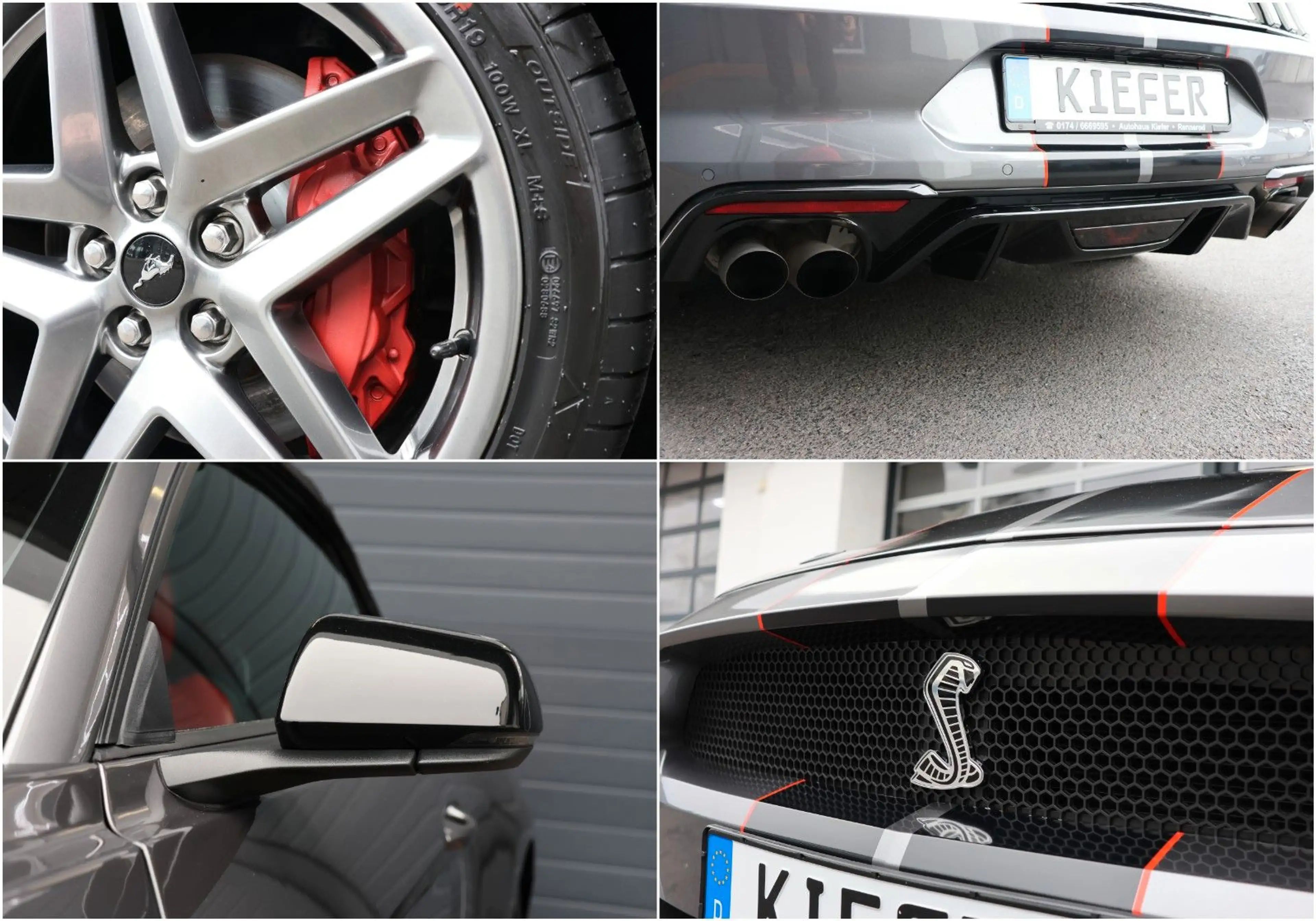 Ford Mustang 5.0 GT/ACC/B&O/Cockpit/SHZ/SBL/KAMERA/19 — photo 12