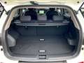 SsangYong Korando Ruby 1.5 T-GDI MT 2WD Weiß - thumbnail 12