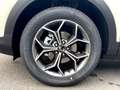 SsangYong Korando Ruby 1.5 T-GDI MT 2WD Weiß - thumbnail 13