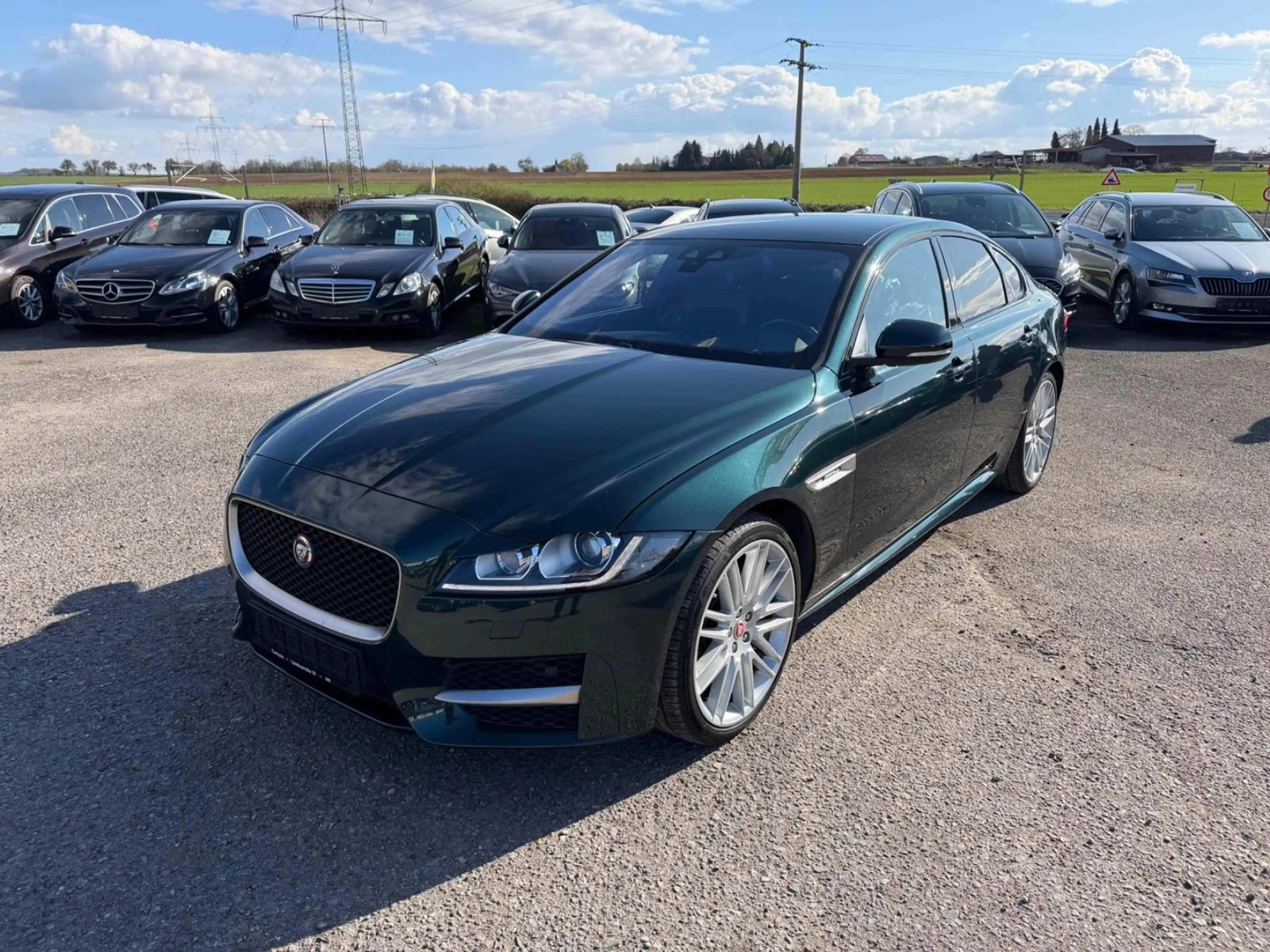Jaguar XF 30d 300PS R-Sport Automatik Matric Head ACC
