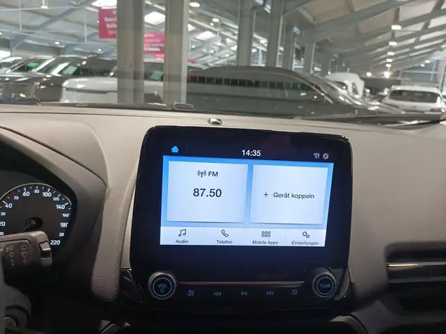Ford EcoSport view 11