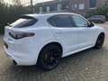 Alfa Romeo Stelvio 2.0 T AWD Veloce 280pk, Vol opties! Bianco - thumbnail 6