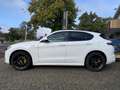 Alfa Romeo Stelvio 2.0 T AWD Veloce 280pk, Vol opties! Bianco - thumbnail 18