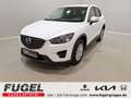 Mazda CX-5 2.0 Exclusive-Line AWD 1.Hand Weiß - thumbnail 1
