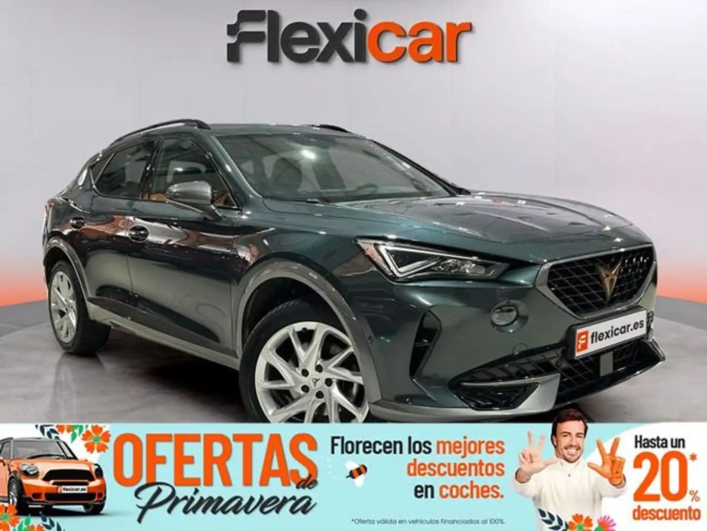 CUPRA Formentor 2.0 TDI 150 Gris - 1