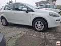 Fiat Punto 1.4 8V 5p. Natural Power Easy Bianco - thumbnail 2
