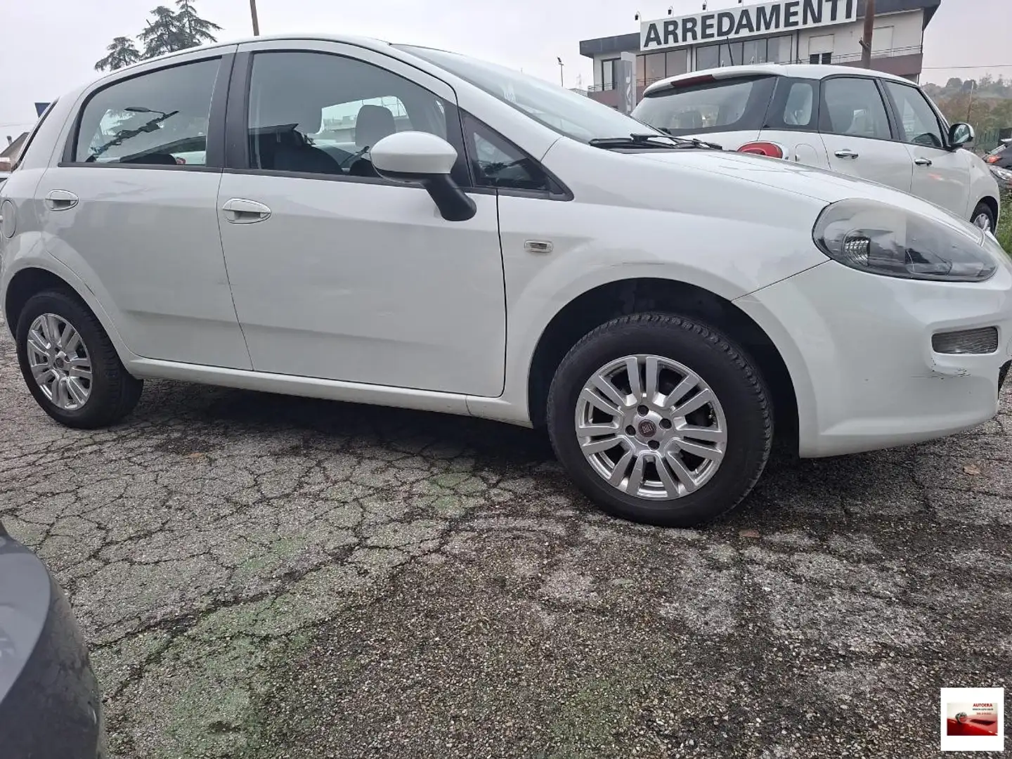 Fiat Punto 1.4 8V 5p. Natural Power Easy Bianco - 2