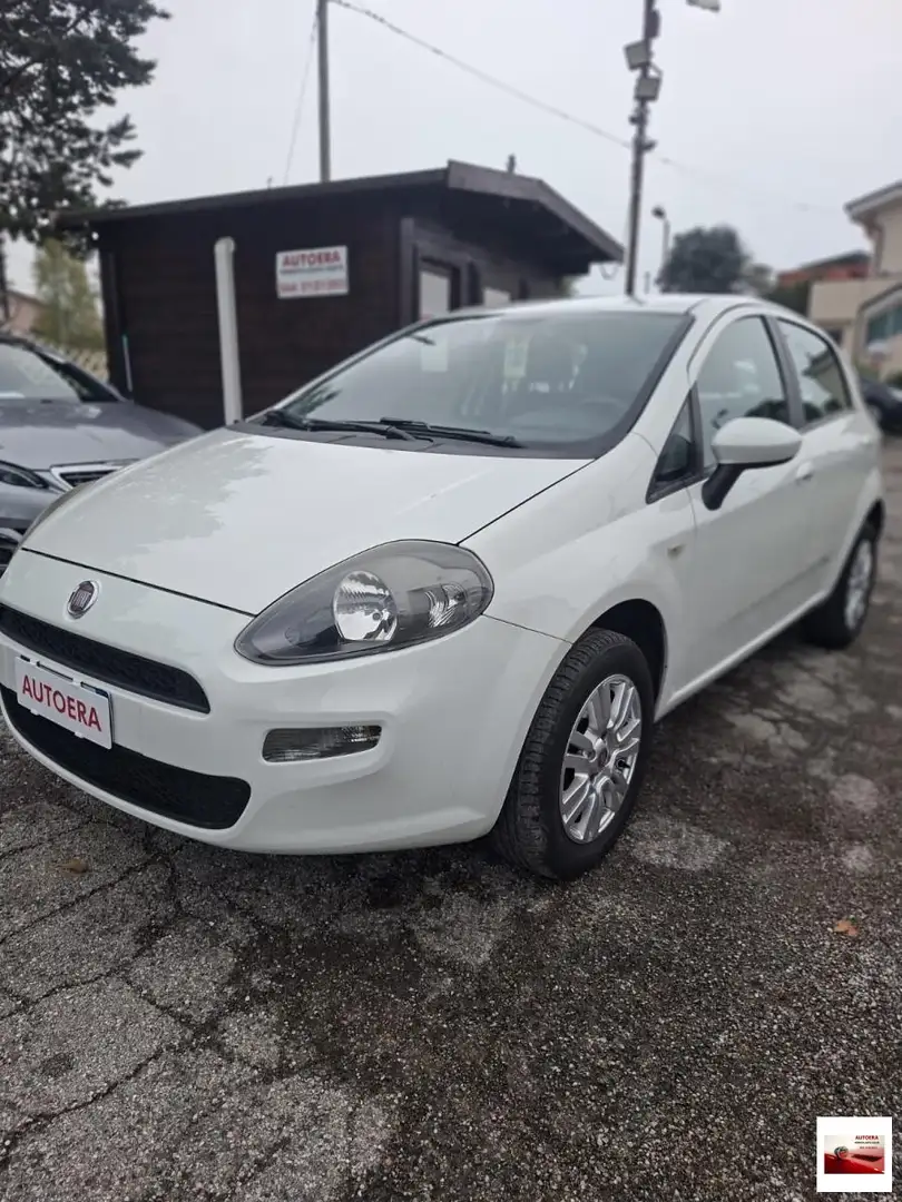 Fiat Punto 1.4 8V 5p. Natural Power Easy Bianco - 1