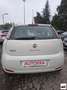 Fiat Punto 1.4 8V 5p. Natural Power Easy Bianco - thumbnail 4