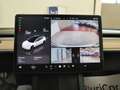Tesla Model 3 Long Range Dual Motor AWD Tetto Pelle Auto Pilot Blanc - thumbnail 12