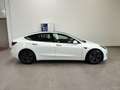 Tesla Model 3 Long Range Dual Motor AWD Tetto Pelle Auto Pilot Blanc - thumbnail 39