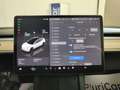 Tesla Model 3 Long Range Dual Motor AWD Tetto Pelle Auto Pilot Blanc - thumbnail 23
